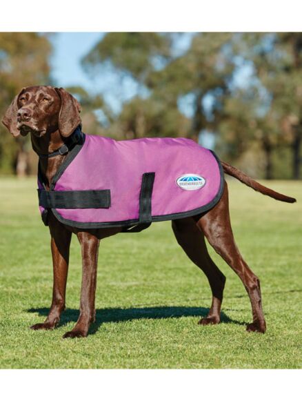 Weatherbeeta Comfitec Windbreaker Free Dog Coat Berry/Pink